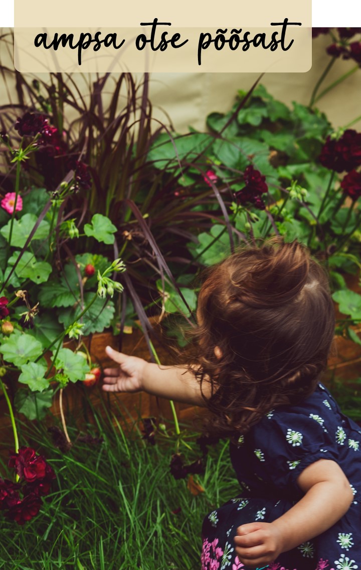 Berry Picking at Mia Glamping